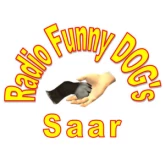 Funny-Dogs-Saar