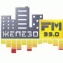 Железо FM