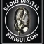Digital Birigui-FM