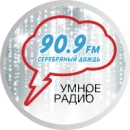 Серебряный дождь