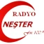 Neşter