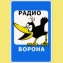 Ворона