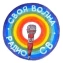 Своя Волна