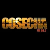 FM Cosecha