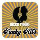 Funky Hits • Disco