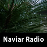 Naviar Radio