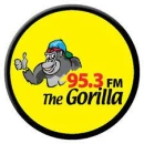95.3 FM The Gorilla (Lumberton)