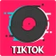 100% TikTok - Radios 100FM