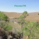 FlorestaFM