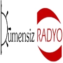 Dümensiz Radyo