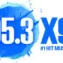 X95