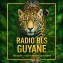 BLS GUYANE