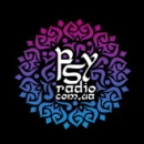 Psychic Radio Station