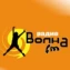 Волна FM
