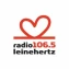 Leinehertz